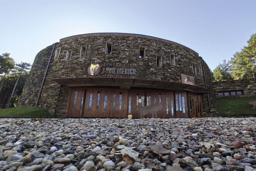 centro del lobo robledo de sanabria